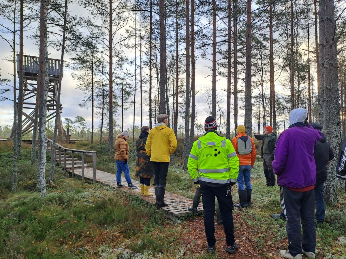 Taide monialaisen yhteistyön innoittajana