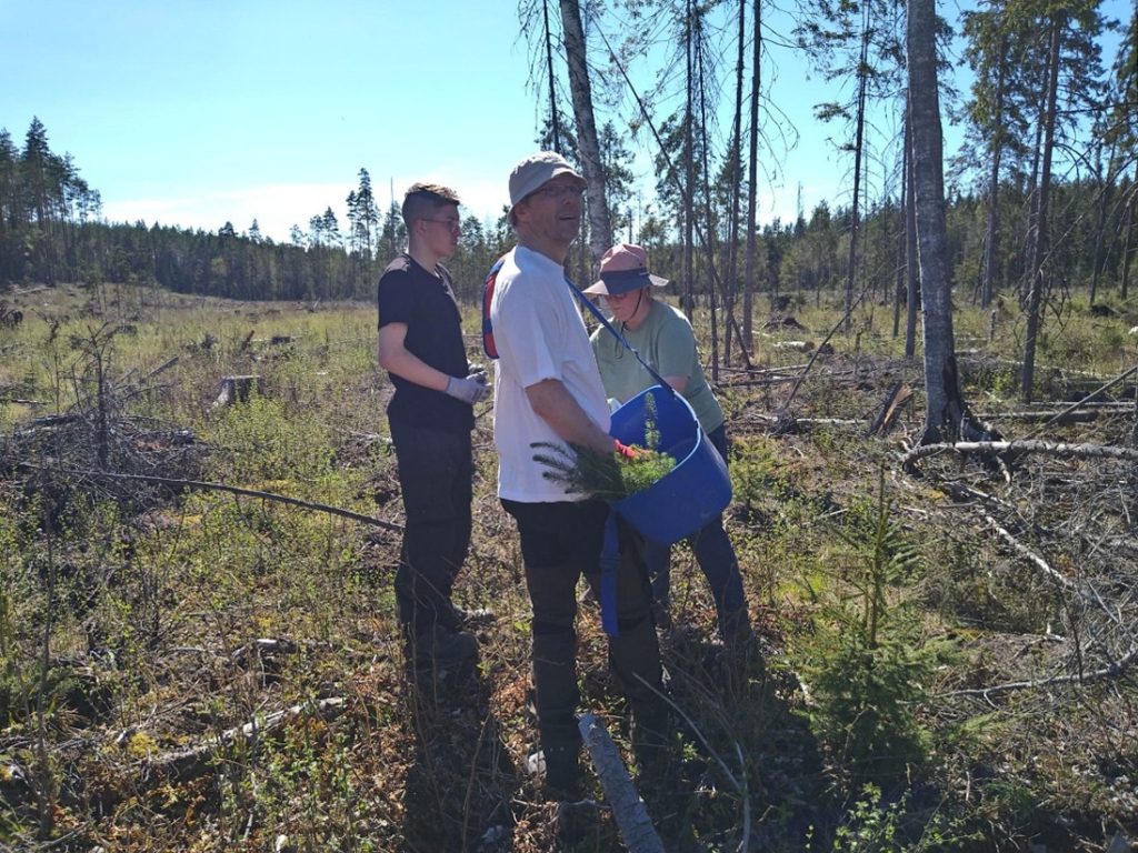 Istutustyö eteni ripeästi Saskyn opiskelijoiden ja BIOVAHVAn tutkijoiden toimesta.