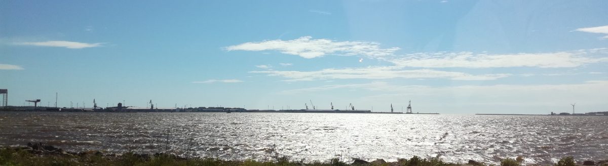 Reflections from research internship ”What Connects Marco Polo, the Birth of a Navy, Pirates, and 60% of World Shipping tonnage During WWII?”